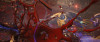 gallery thumb