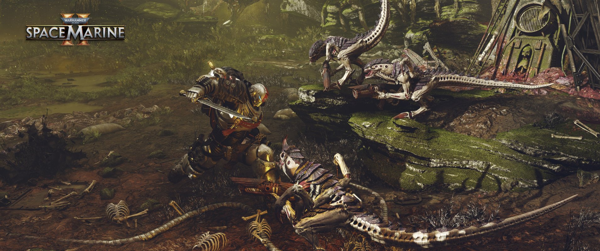 Grey Knights