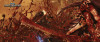 gallery thumb