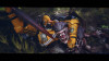 gallery thumb